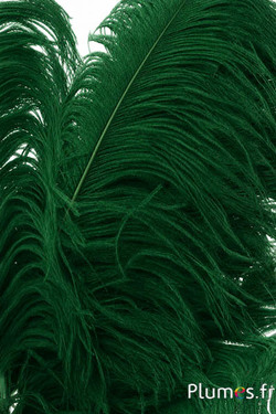 Struzzo premium - 50-60 cm - verde abete